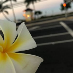 Meet your Posher, Katelyn